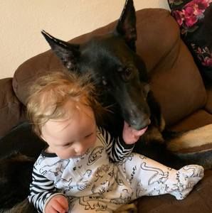 Meet your Posher, Brandon